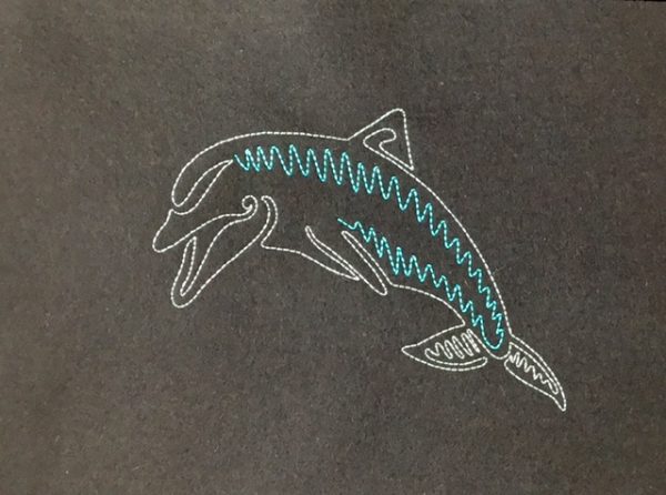 Dolphin